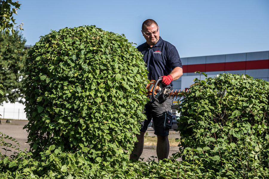 https://www.abema-gmbh.de/wp-content/uploads/2018/08/I2A5243-900x600.jpg