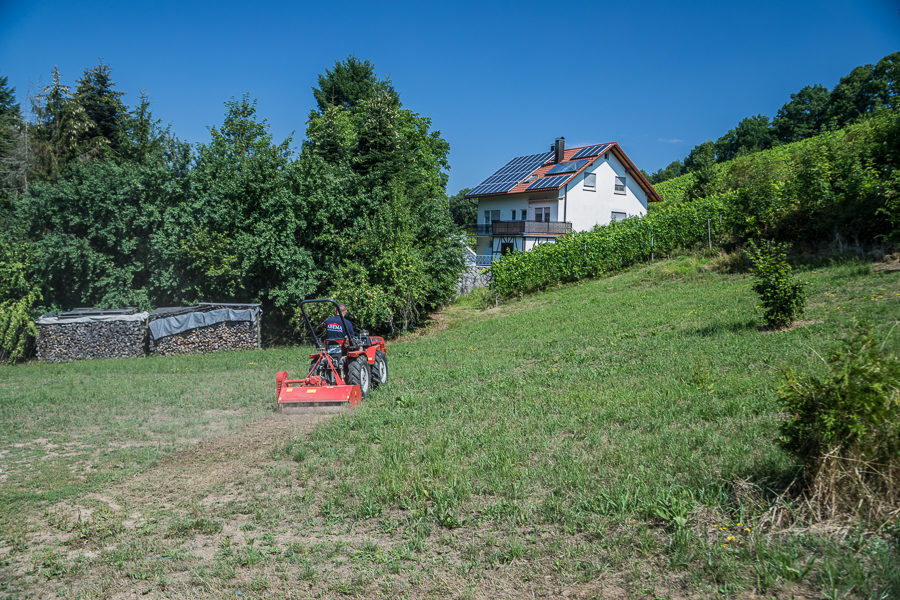 https://www.abema-gmbh.de/wp-content/uploads/2018/08/I2A6274-900x600.jpg